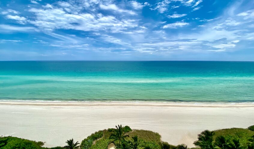 Dopust, karantena, odpoved?